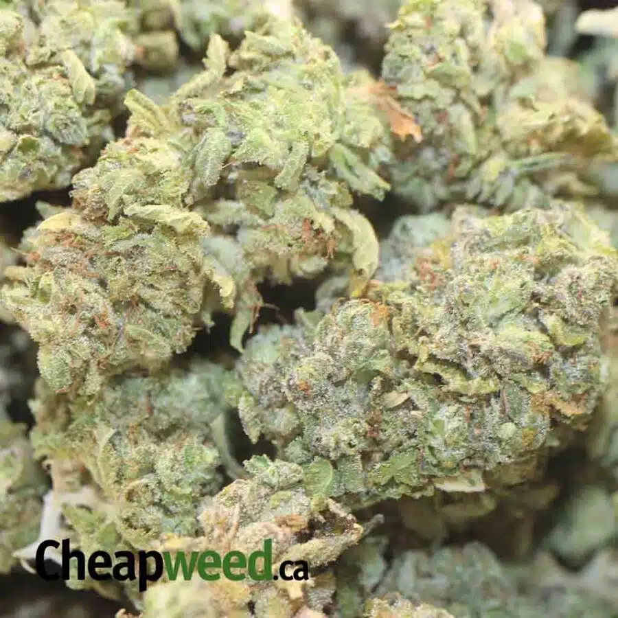 HAWAIIAN PINEAPPLE 1 I Hawaiian Pineapple - *Deal Of The Day*