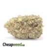 Hawaiian Pineapple - *Deal Of The Day*