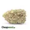 Hawaiian Pineapple - *Deal Of The Day*