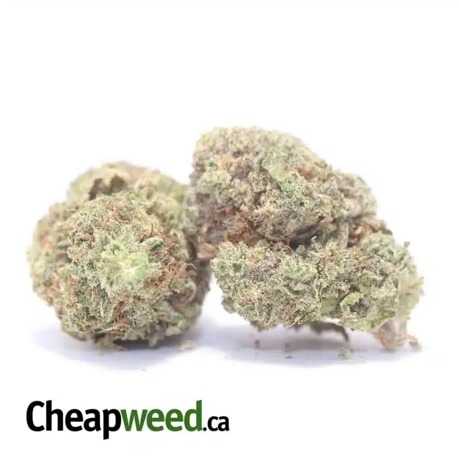 HAWAIIAN PINEAPPLE 3 I Hawaiian Pineapple - *Deal Of The Day*