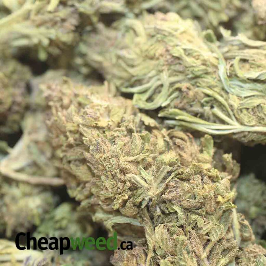 J 27 2 I J-27 Bulk Special