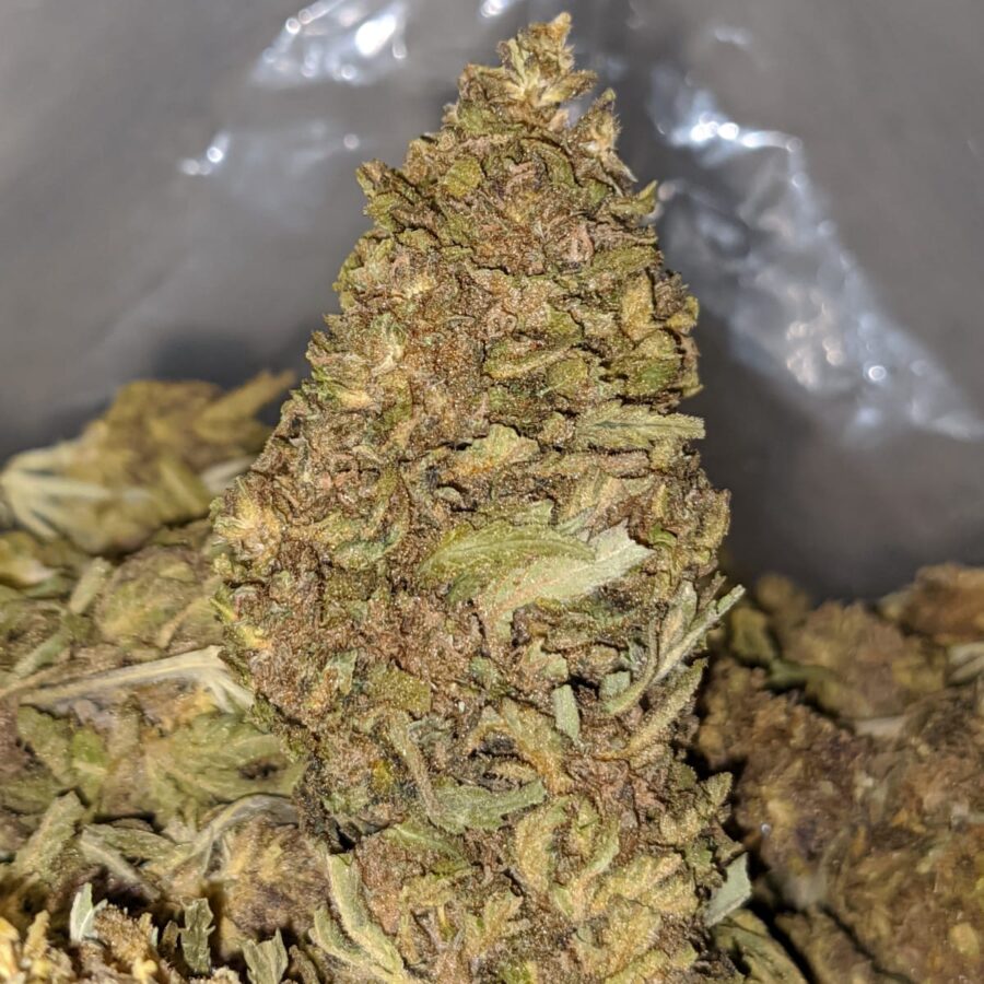 J 27 BS 1 I J-27 Bulk Special