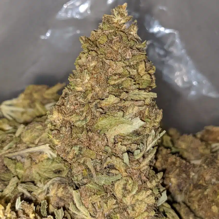 J 27 BS 1 I J-27 Bulk Special