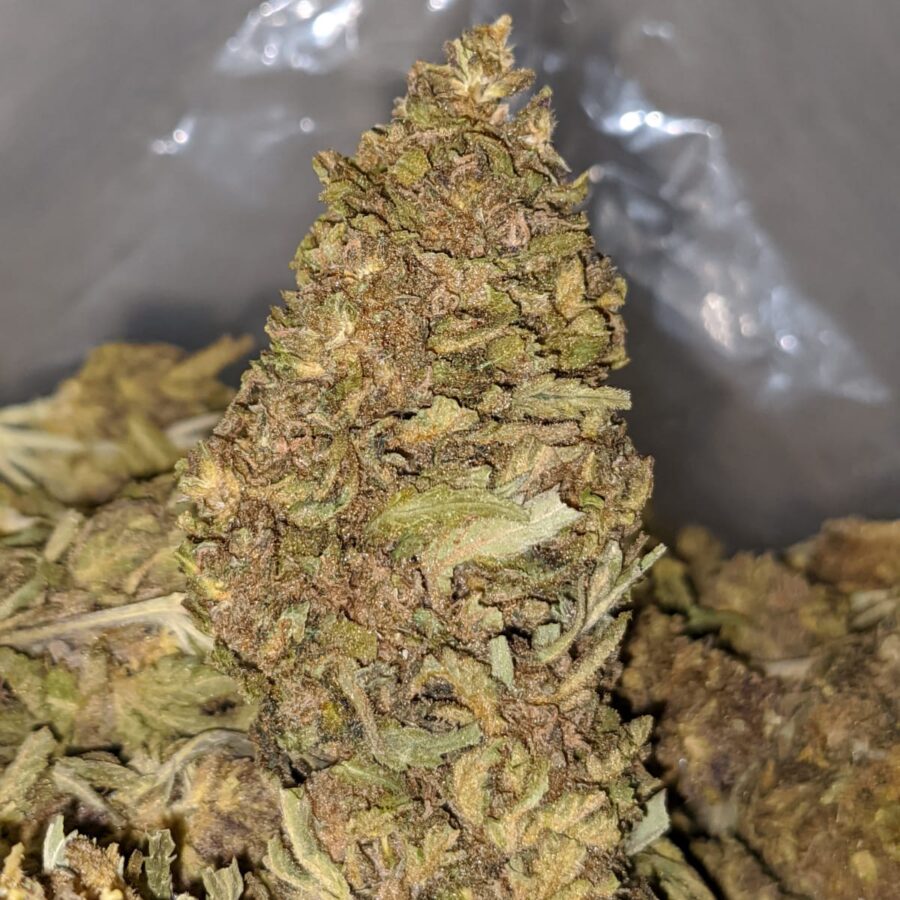 J 27 BS 2 I J-27 Bulk Special