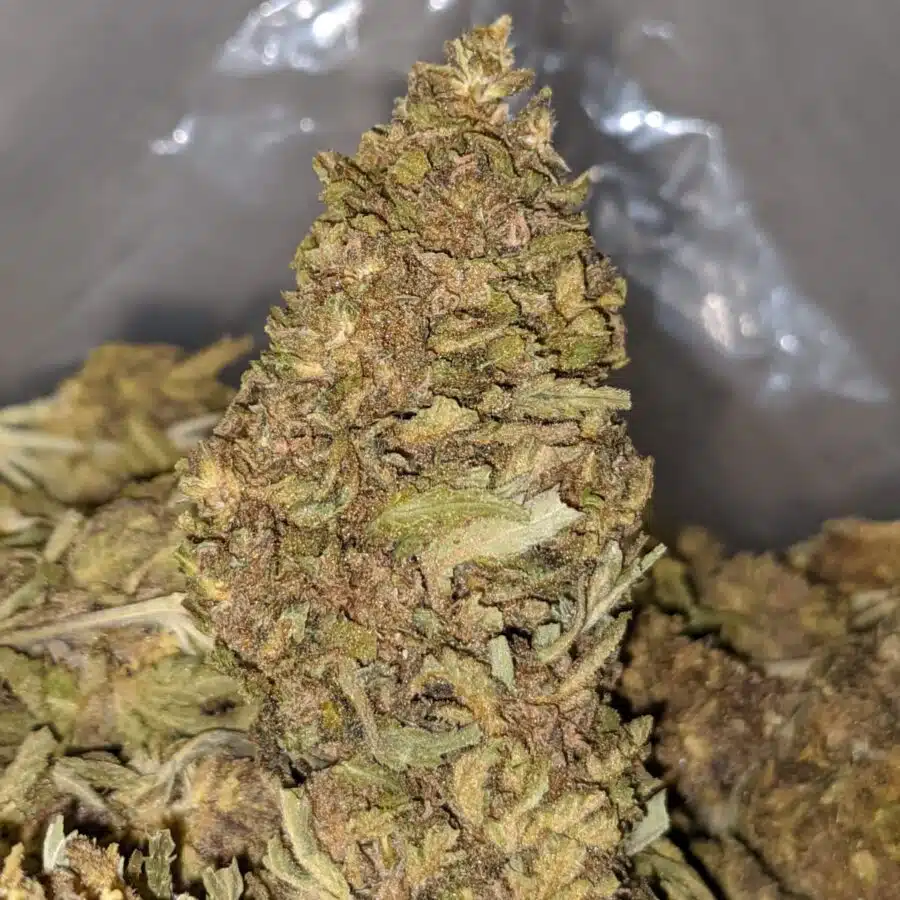 J 27 BS 2 I J-27 Bulk Special
