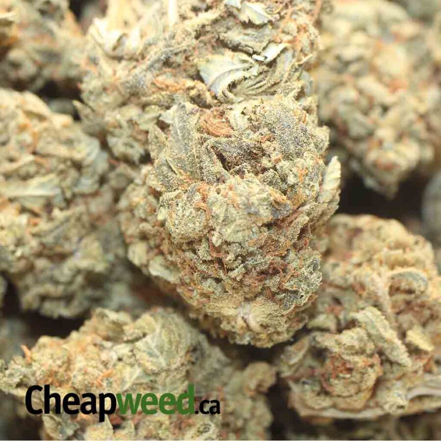 JACK DIESEL BS 1 I Jack Diesel Bulk Special