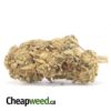 Jack Diesel Bulk Special
