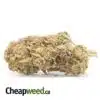 Jack Diesel Bulk Special