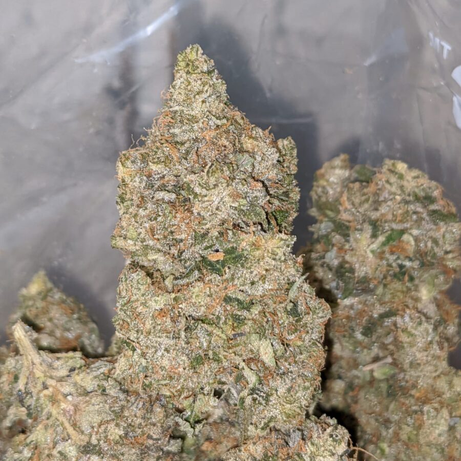 KHALIFA TO LEGEND OG 1 I Legend OG