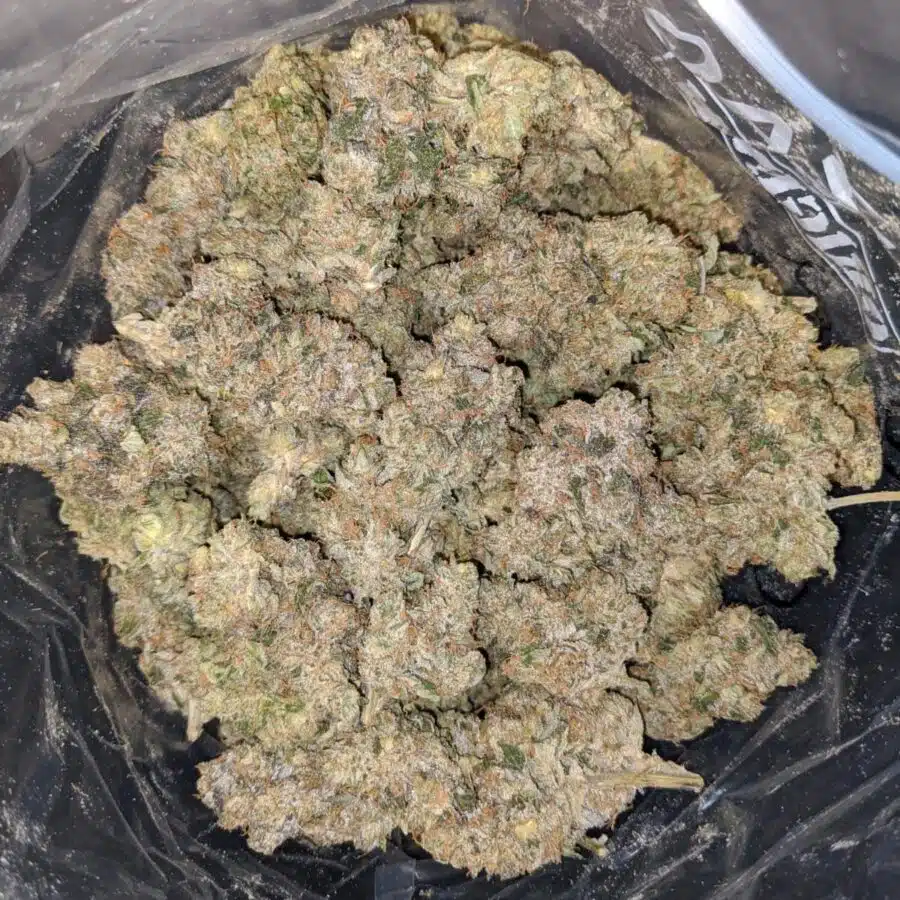 Legend OG