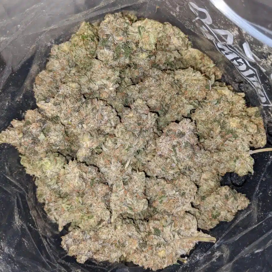 Alternative view of Legend OG