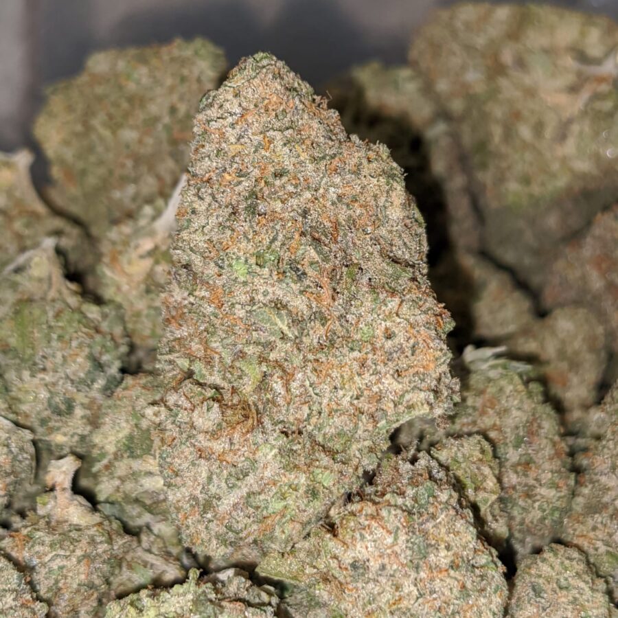LEMON COOKIES DOD 1 I Lemon Cookies - *Deal of the Day*