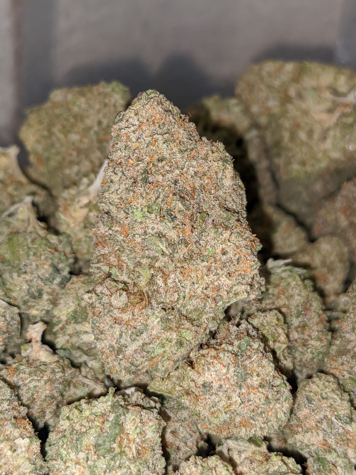 Lemon Cookies - *Deal of the Day* - Image 6