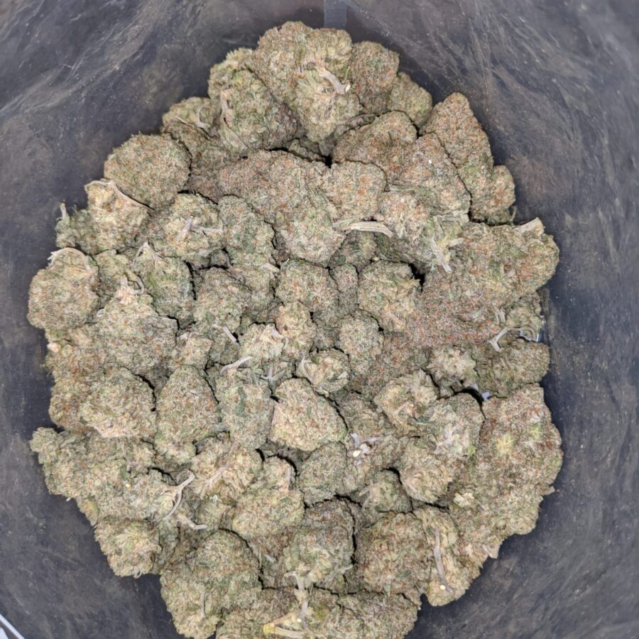 LEMON COOKIES DOD 2 I Lemon Cookies - *Deal of the Day*