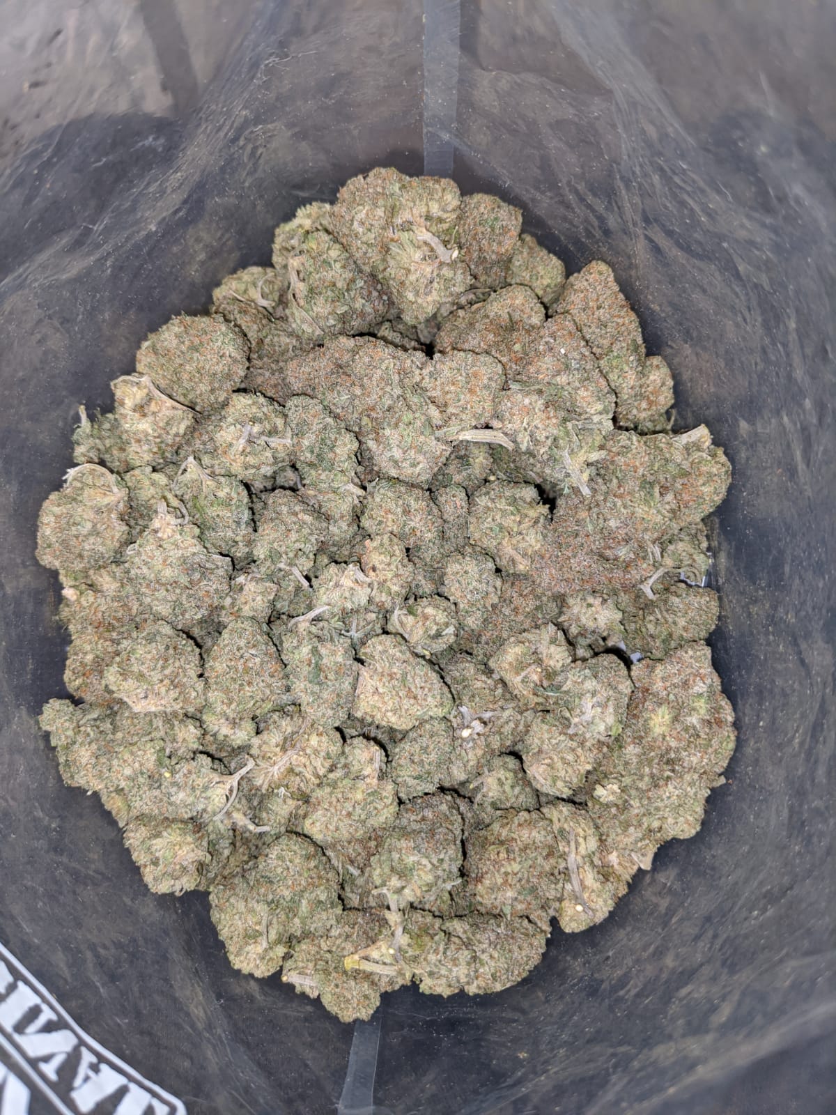 Lemon Cookies - *Deal of the Day* - Image 5