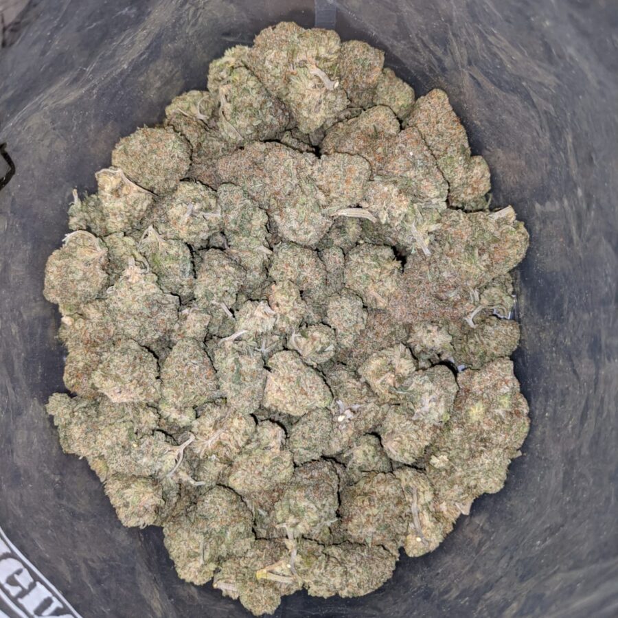 LEMON COOKIES DOD 3 I Lemon Cookies - *Deal of the Day*