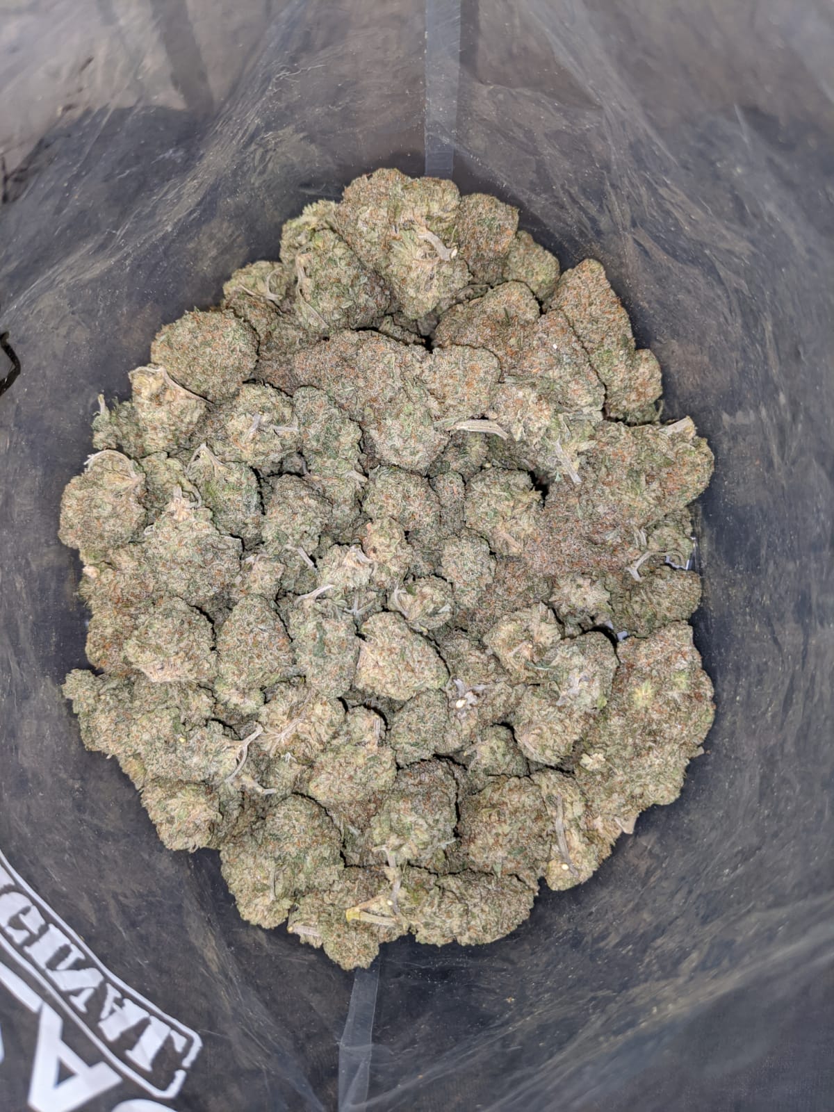 Lemon Cookies - *Deal of the Day* - Image 4