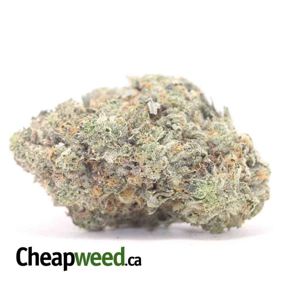 Mike Tyson 28.59% THC