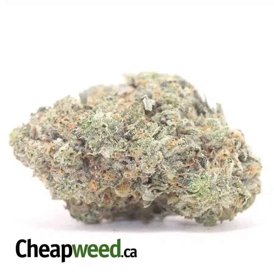 Mike Tyson 28.59% THC