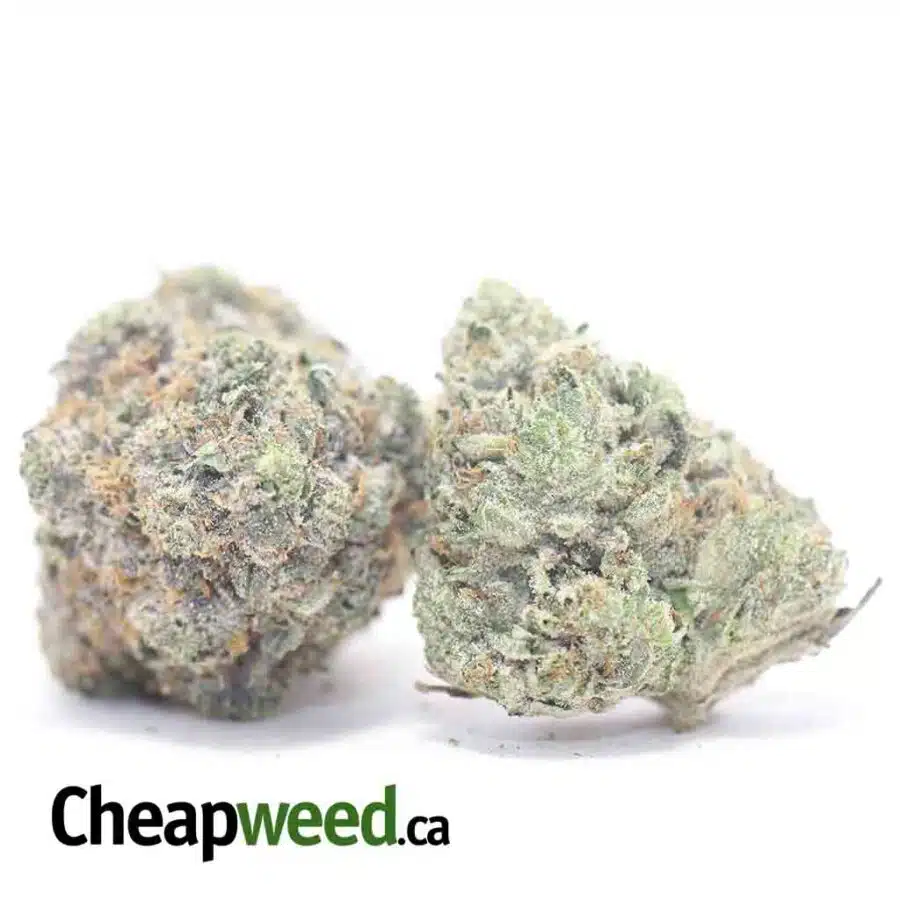 Alternative view of Mike Tyson 28.59% THC