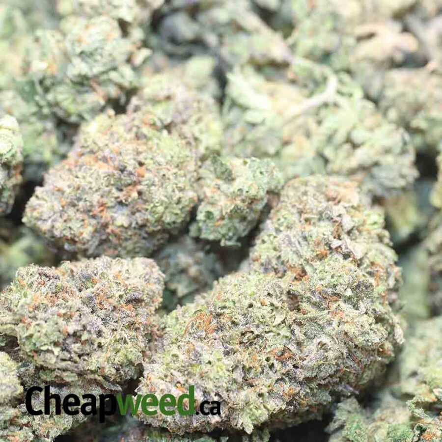 MK ULTRA 1 I MK Ultra