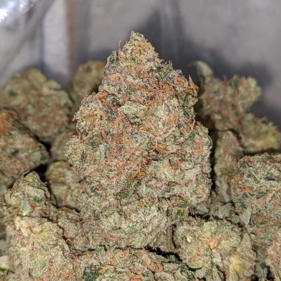 MKU DOD 1 1 I MK Ultra - *Deal Of The Day*