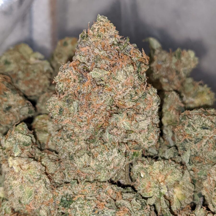 MKU DOD 2 1 I MK Ultra - *Deal Of The Day*