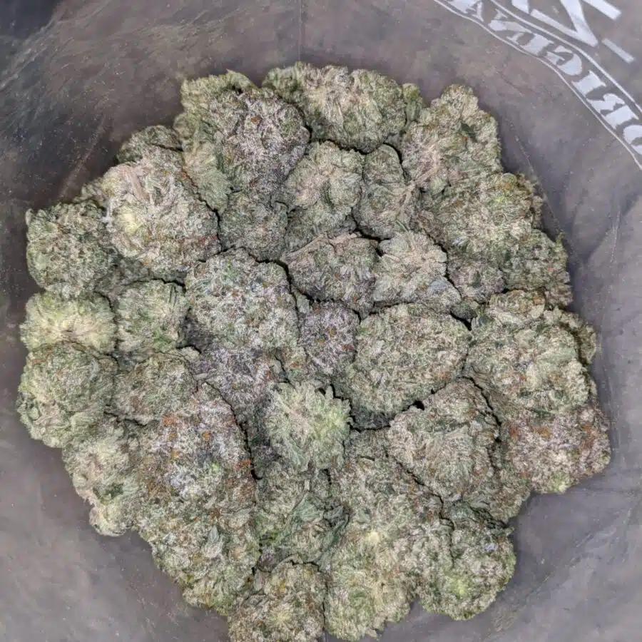 Mike Tyson 1 I Mike Tyson 28.59% THC