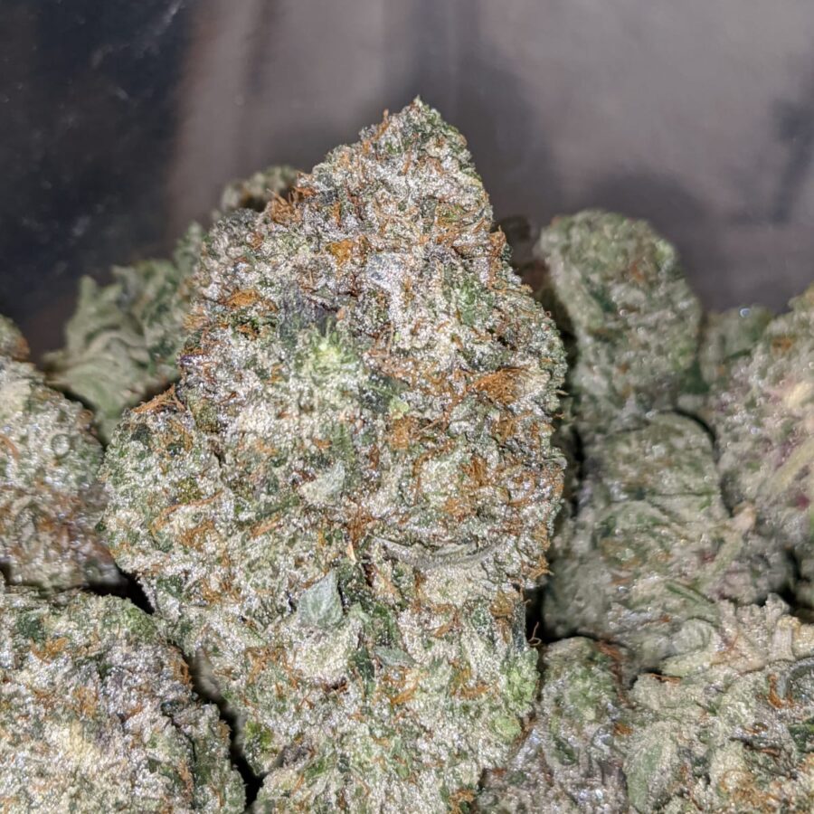 Mike Tyson 28.59% THC - Image 4