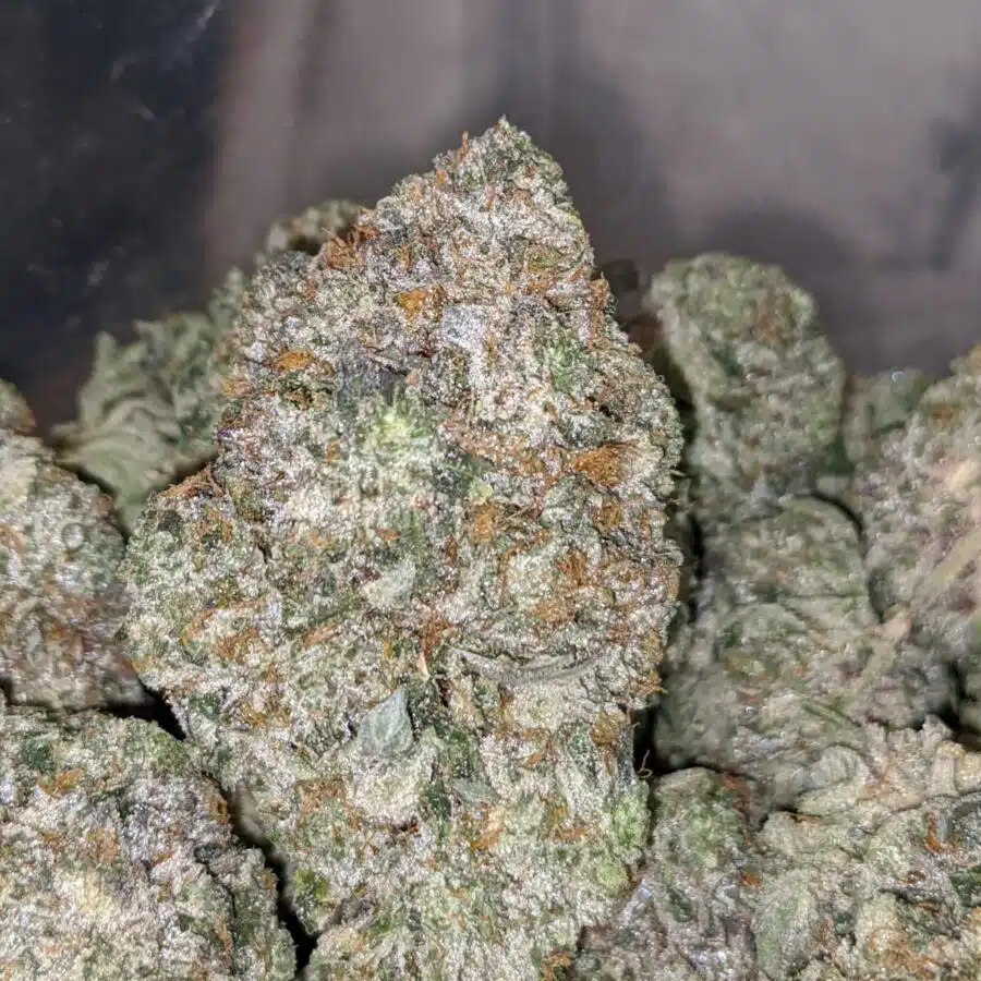 Mike Tyson 2 I Mike Tyson 28.59% THC