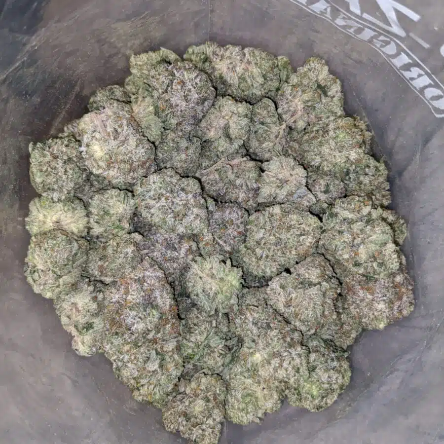 Mike Tyson 4 I Mike Tyson 28.59% THC
