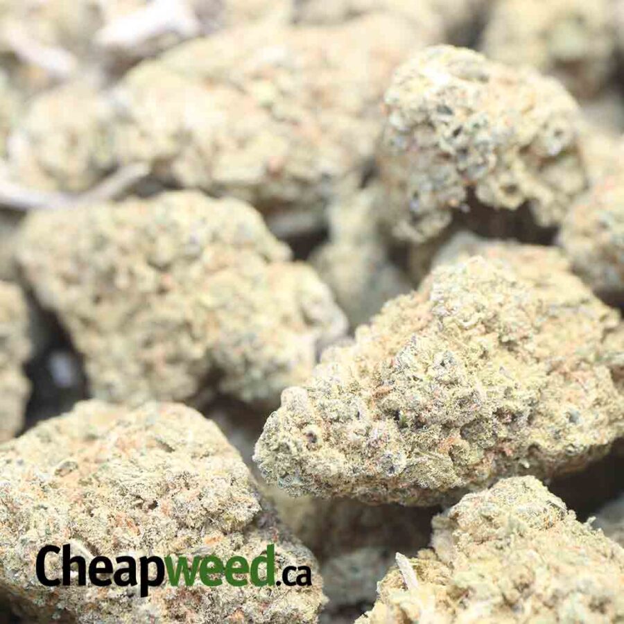 NUKEN DOD 1 I Nuken - *Deal Of The Day*