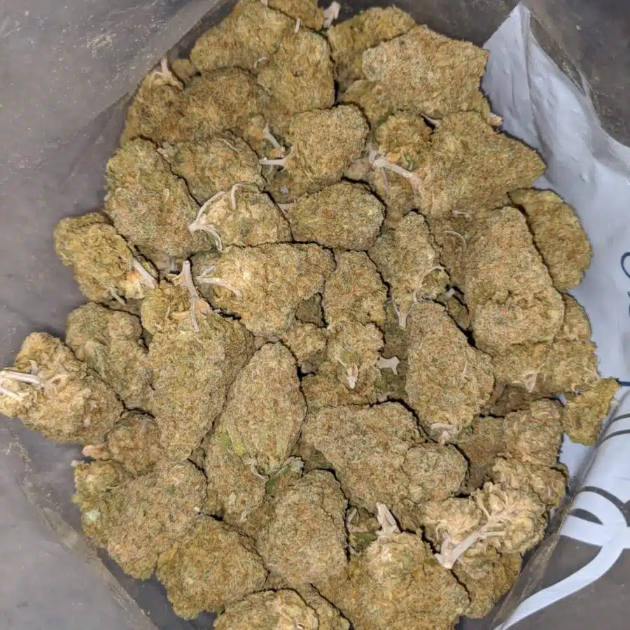 Nuken DOD 1 I Nuken - *Deal Of The Day*