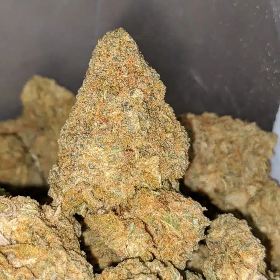 Nuken DOD 2 I Nuken - *Deal Of The Day*