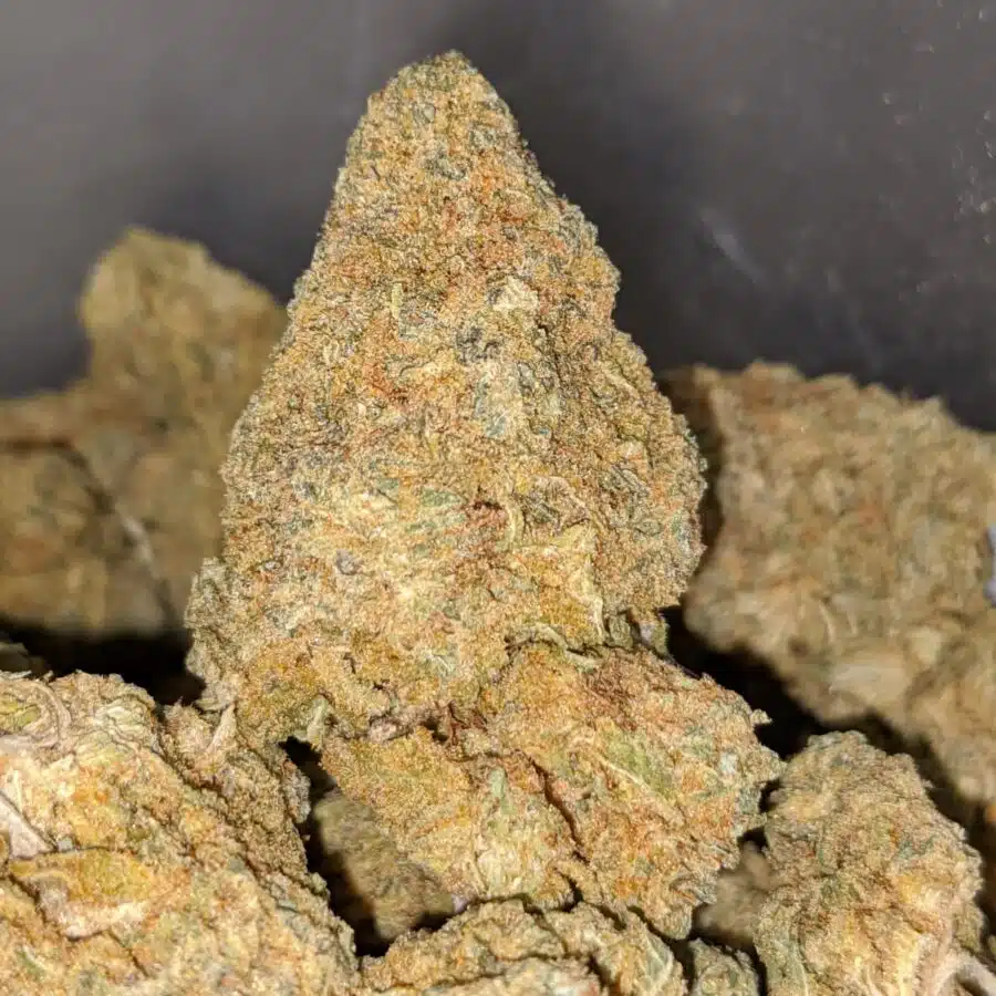 Nuken DOD 3 I Nuken - *Deal Of The Day*
