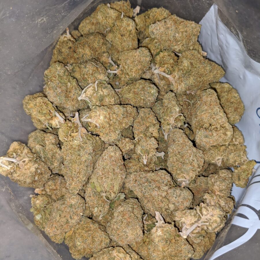 Nuken DOD 4 I Nuken - *Deal Of The Day*