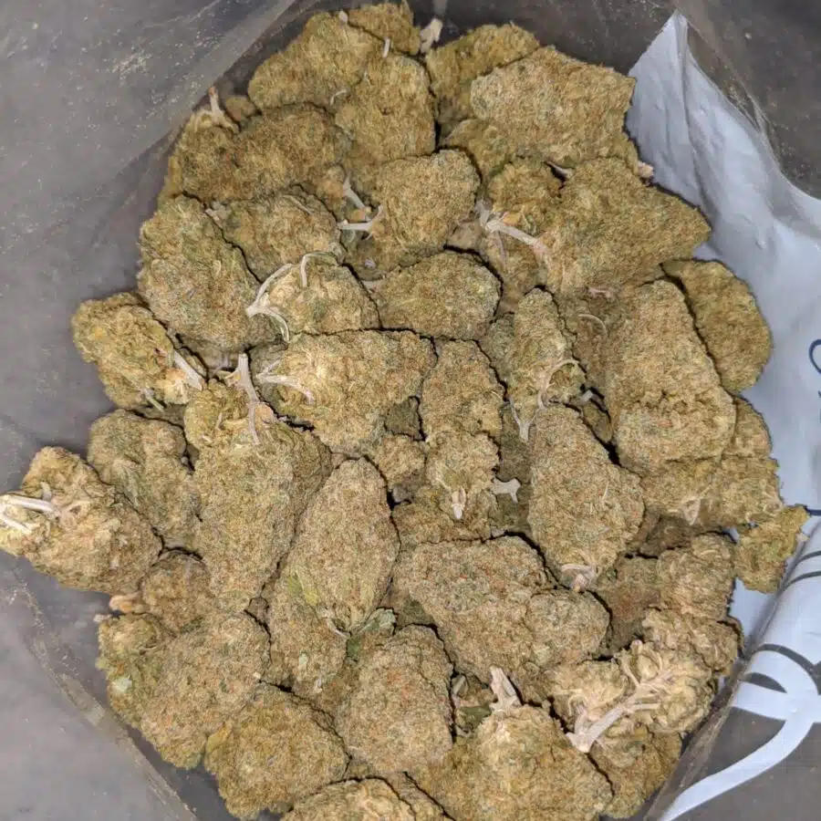 Nuken DOD 4 I Nuken - *Deal Of The Day*