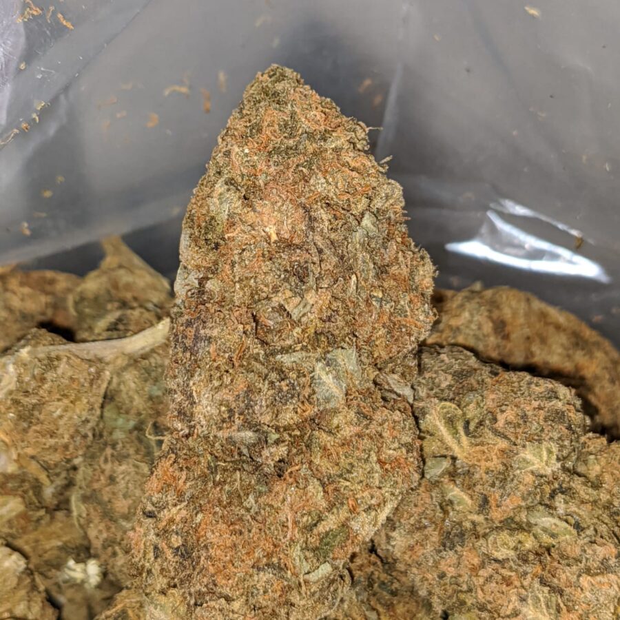 ORANGE CANDY BS 1 I Orange Candy - *Deal Of The Day*