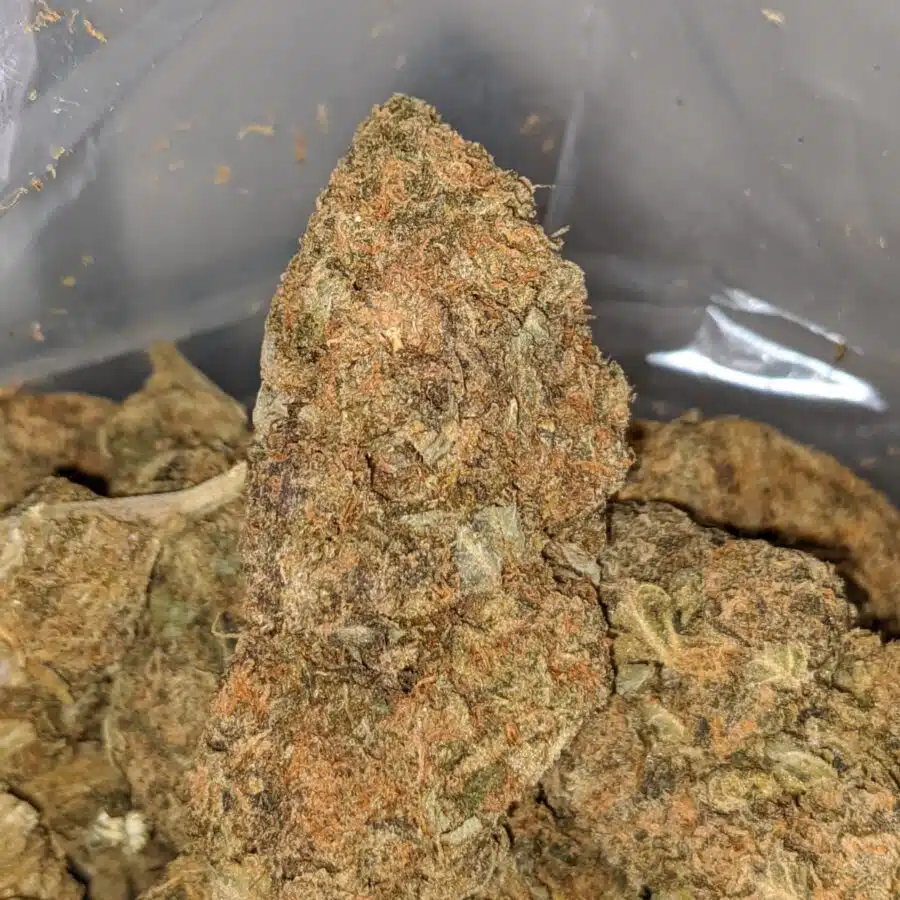 ORANGE CANDY BS 1 I Orange Candy - *Deal Of The Day*
