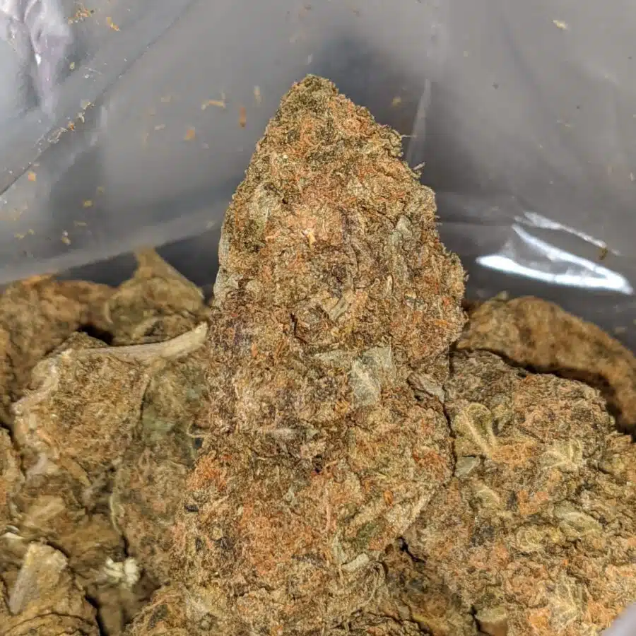 ORANGE CANDY BS 2 I Orange Candy - *Deal Of The Day*
