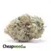 Original OG Kush