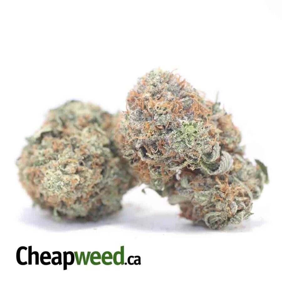 ORIGINAL OG KUSH 3 I Original OG Kush