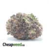 Purple Mamba - *Deal of the Day*