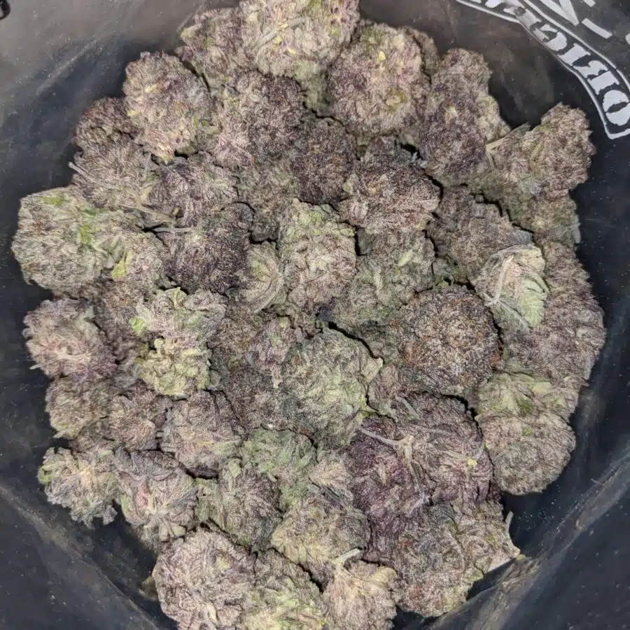 PURPLE MAMBA DOD 4 I Purple Mamba - *Deal of the Day*