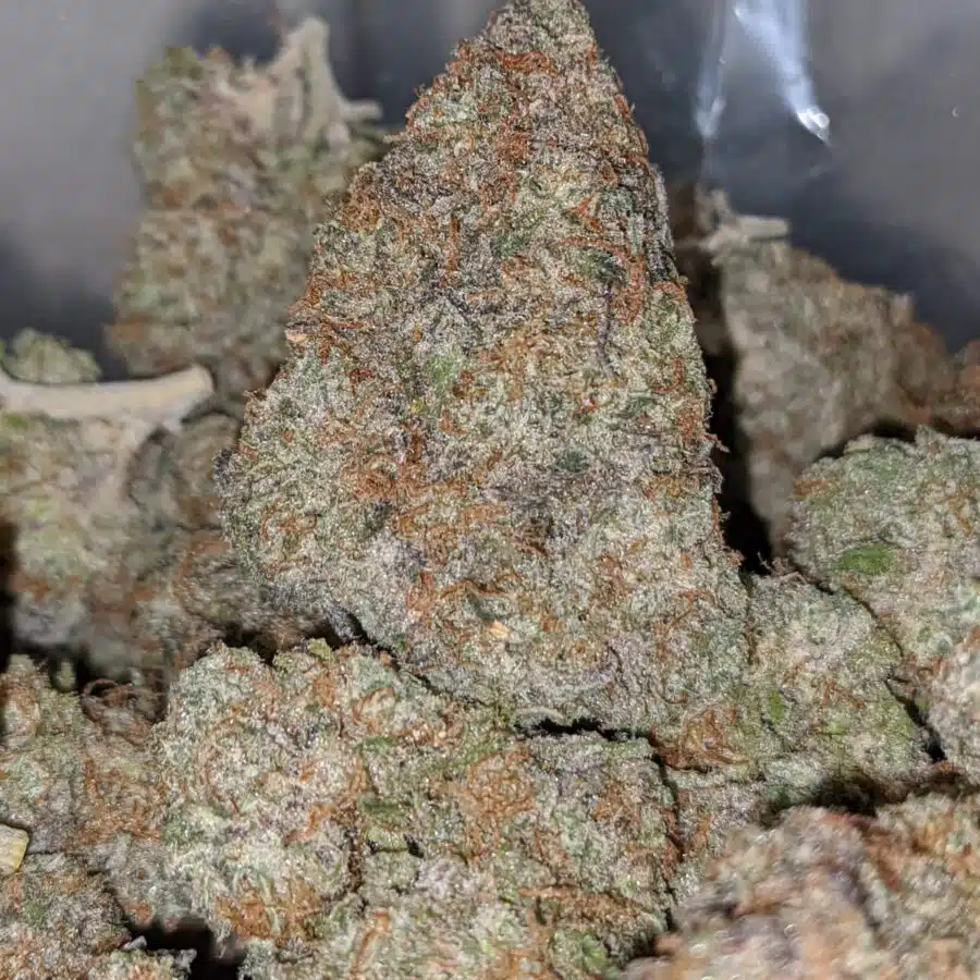 Alternative view of Purple Starlord