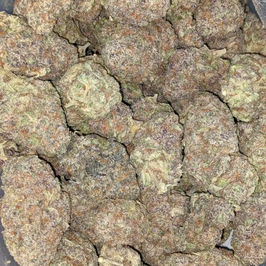 Purple God - *Deal Of The Day*