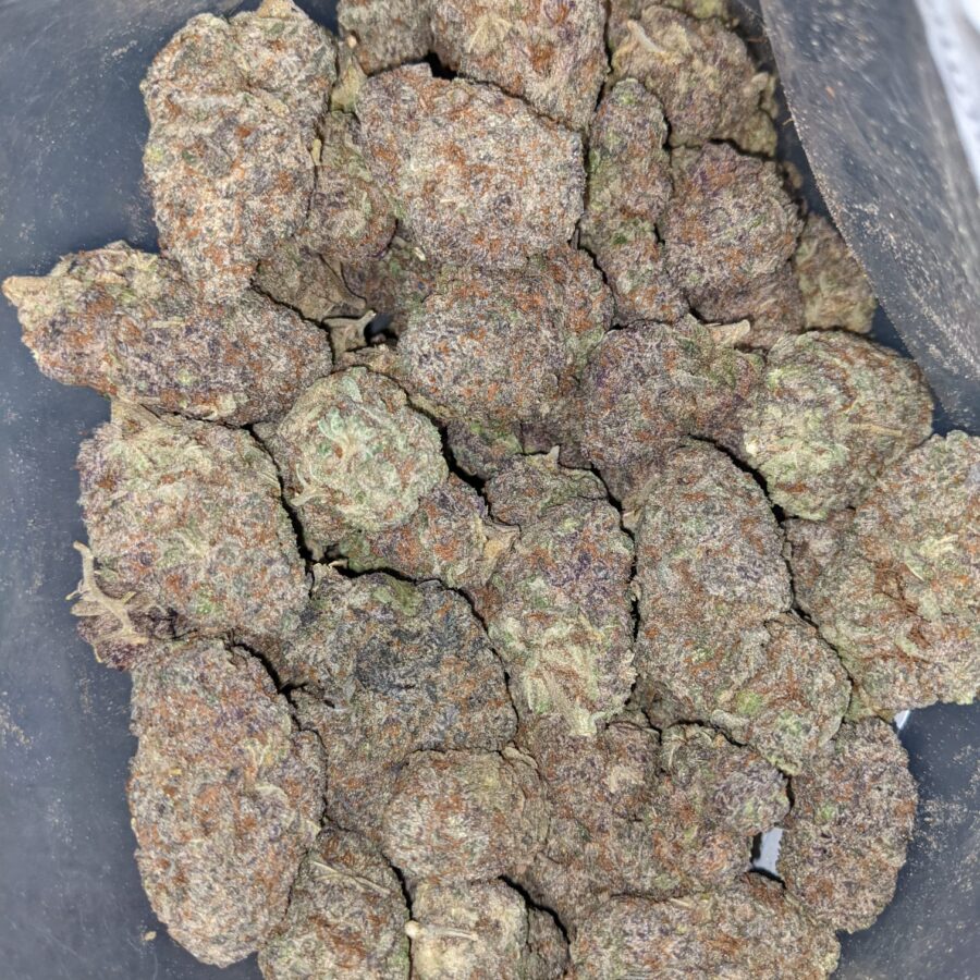 Purple god dod 3 I Purple God - *Deal Of The Day*