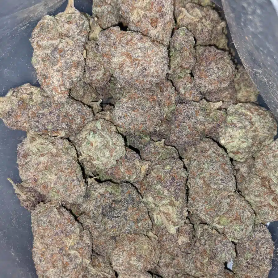 Purple god dod 4 I Purple God - *Deal Of The Day*