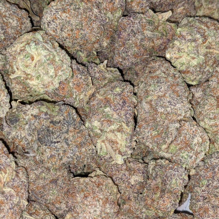 Purple god dod 5 I Purple God - *Deal Of The Day*