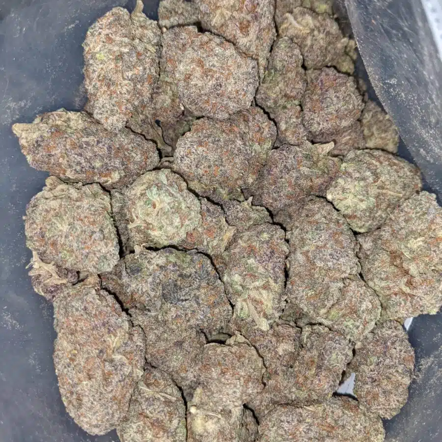 Purple god dod 6 I Purple God - *Deal Of The Day*